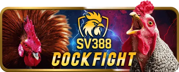 Ưu đãi chào mừng thành viên mới zbet88 app